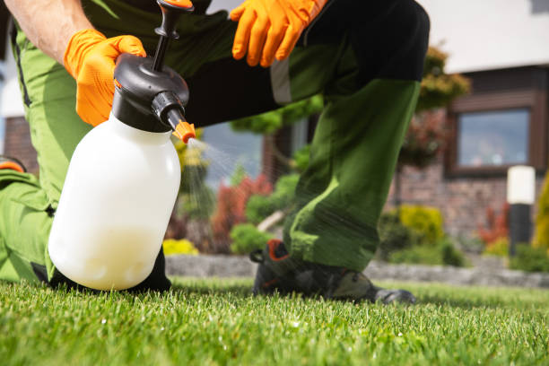 Best Mosquito Control Services  in Madison, MS