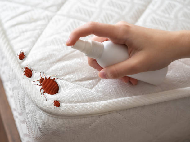 Best Cockroach Control Services  in Madison, MS