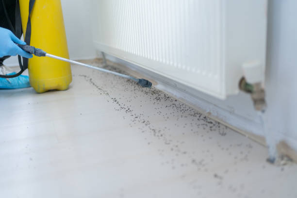 Best Residential Pest Control  in Madison, MS