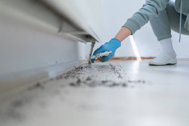 Best Best Pest Control Near Me  in Madison, MS