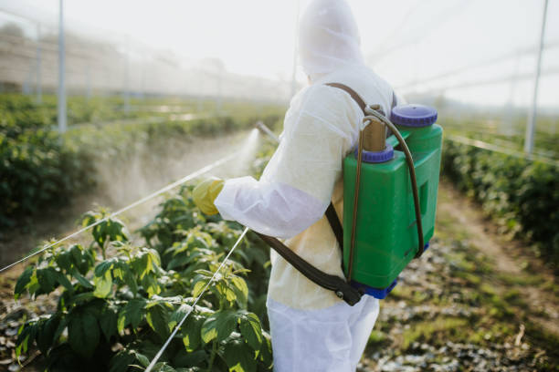 Best Best Pest Control Companies  in Madison, MS